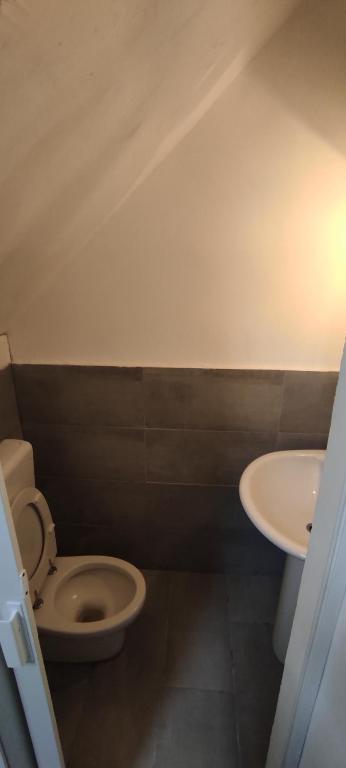 Loft Pace room 5